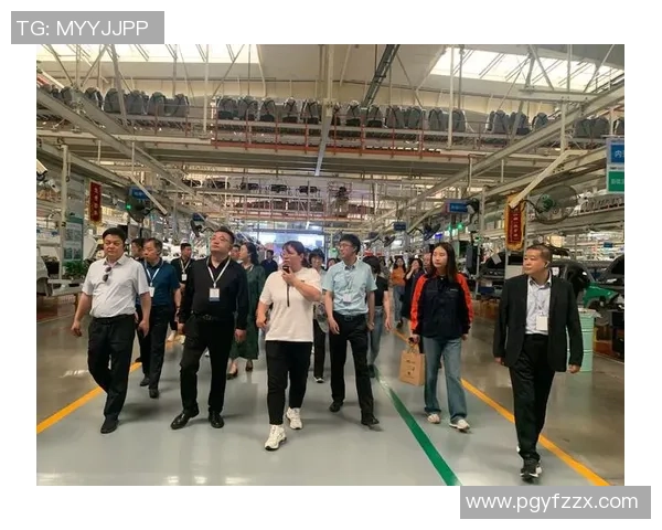 上海排球队转型之路揭秘:从传统强队到现代化竞技新标杆 上海排球队转型之路揭秘:从传统强队到现代化竞技新标杆