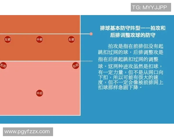 深入分析上海排球队区域防守战术的优势与应用 深入分析上海排球队区域防守战术的优势与应用