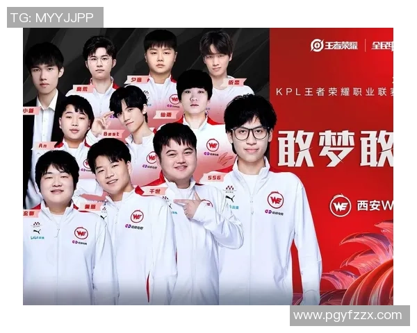 王者荣耀热议：WE战队意识争议引发玩家热烈讨论与反思